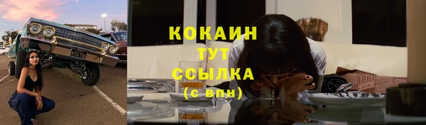 ешки Арсеньев