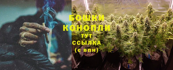ешки Арсеньев
