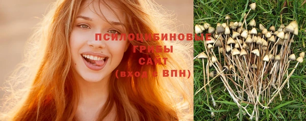 ешки Арсеньев