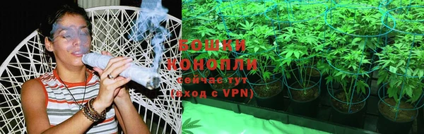 гашик Аркадак
