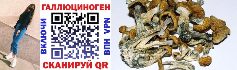 Псилоцибиновые грибы GOLDEN TEACHER  где продают наркотики  Полевской 